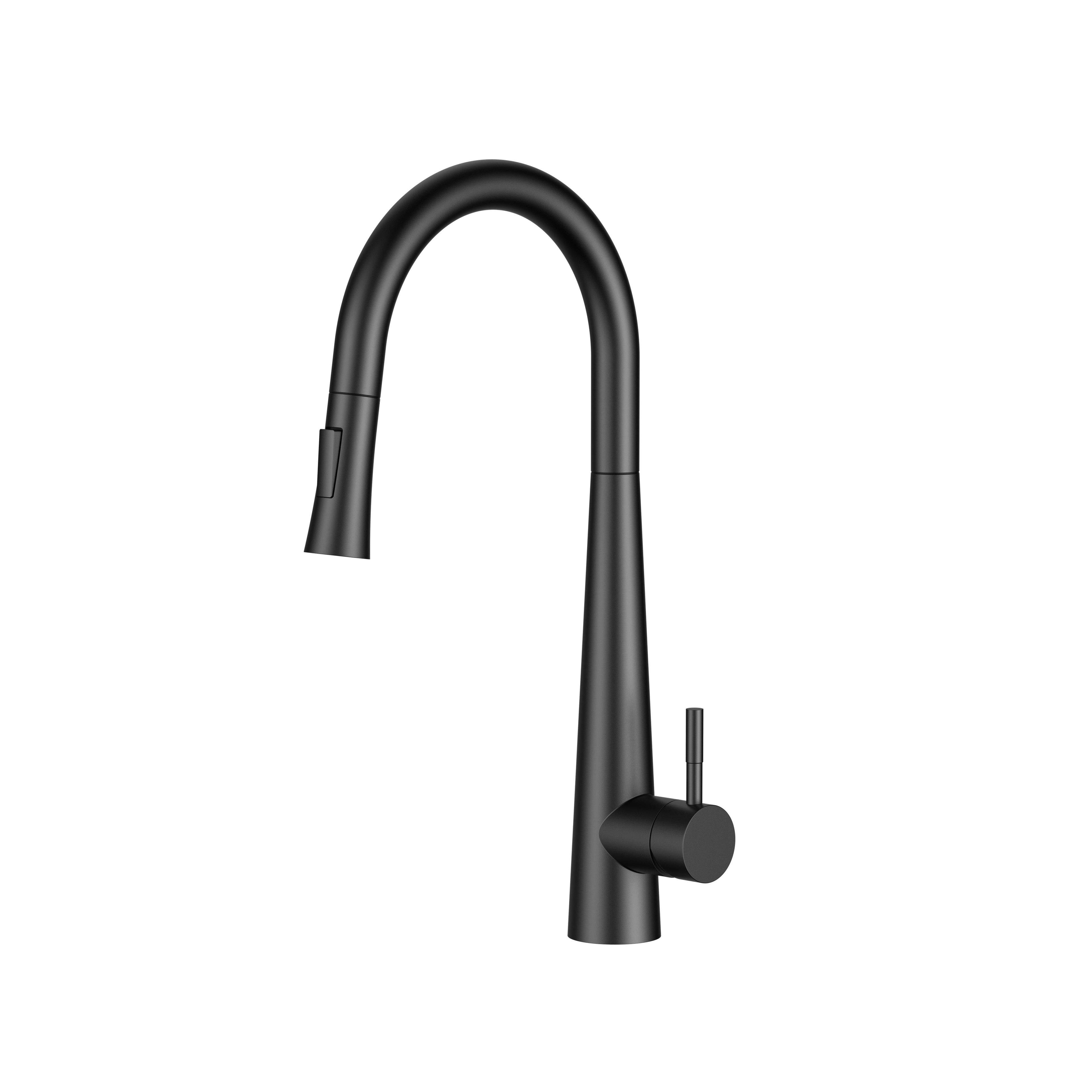 Aquaflo Echo Pull-Down Kitchen Faucet