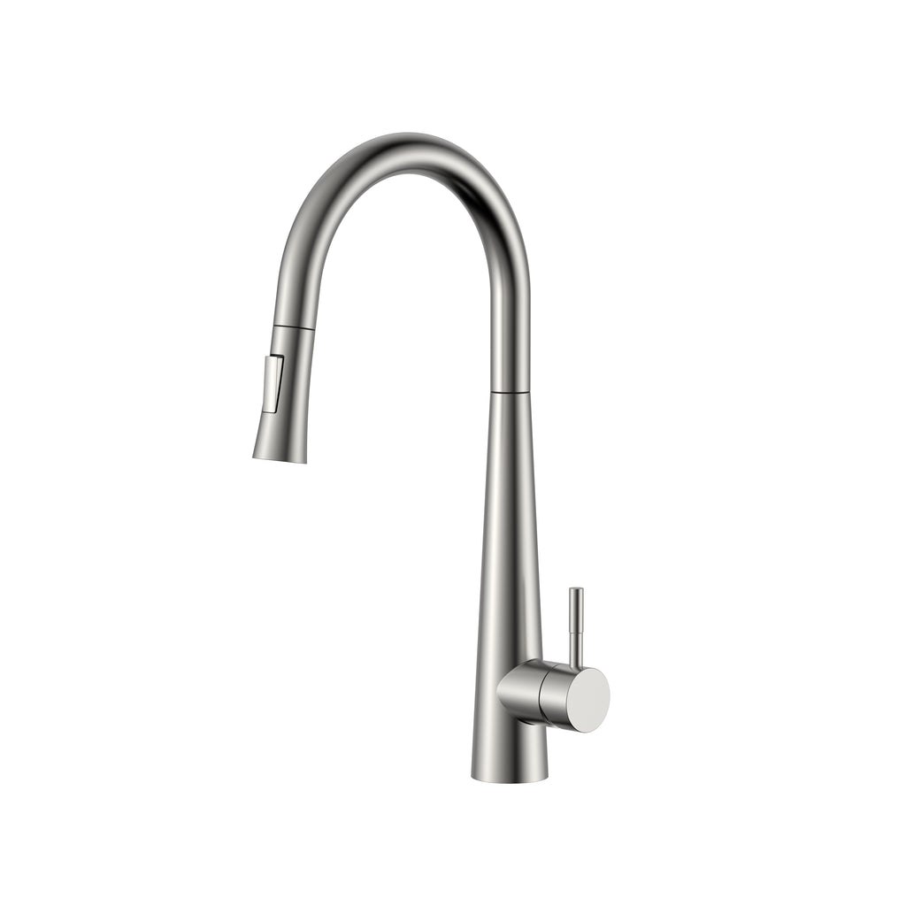 Aquaflo Echo Pull-Down Kitchen Faucet