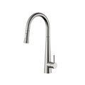 Aquaflo Echo Pull-Down Kitchen Faucet