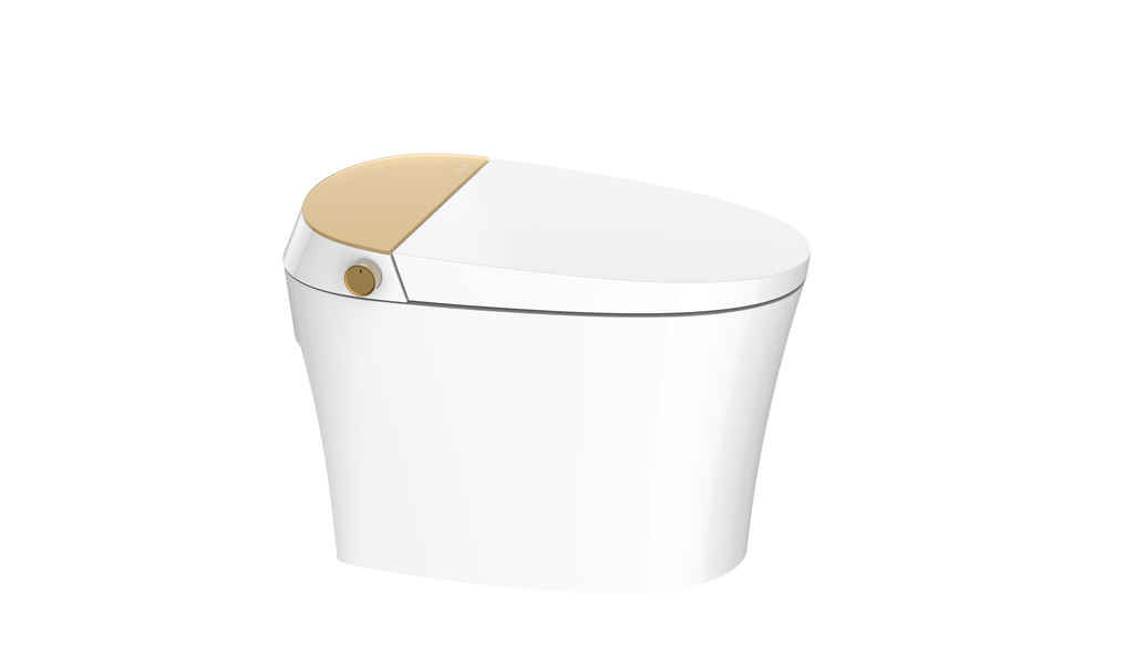Aquaflo Maritime Smart Toilet