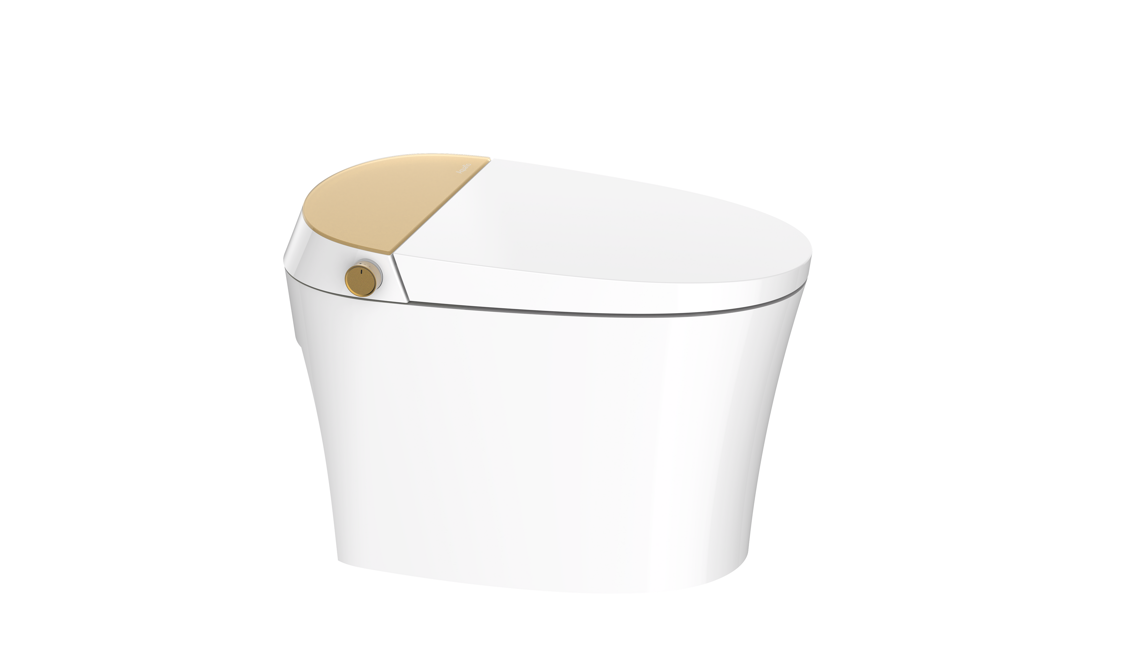 Aquaflo Maritime Smart Toilet