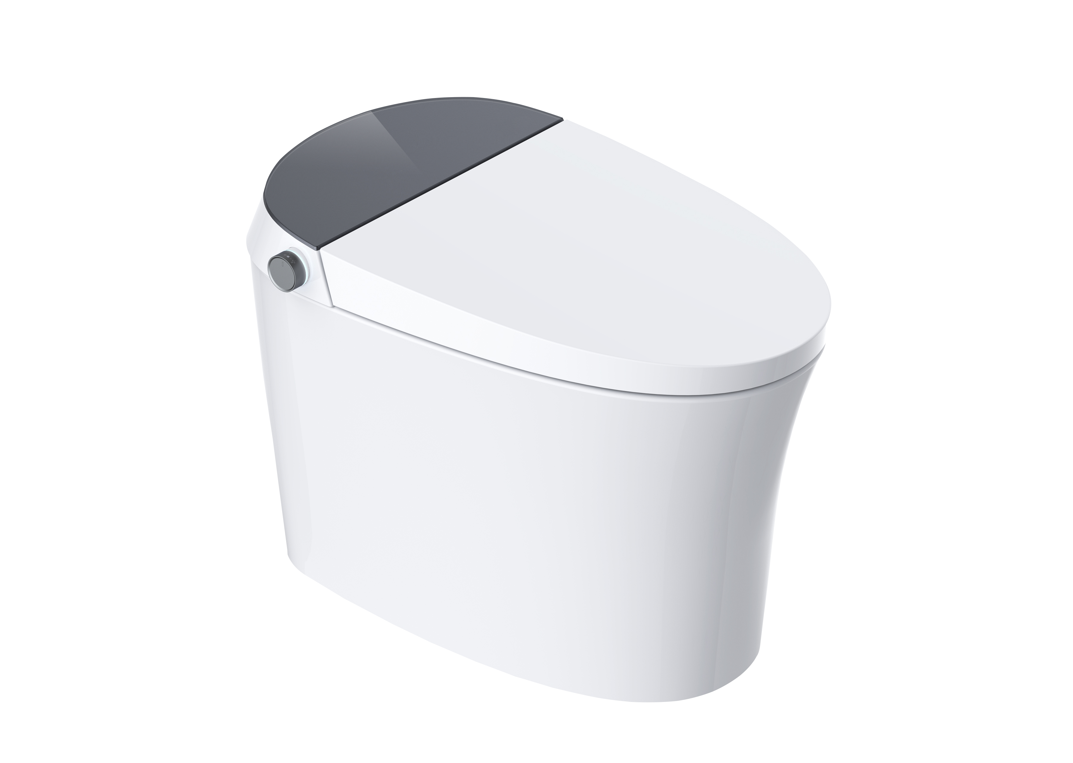 Aquaflo Maritime Smart Toilet