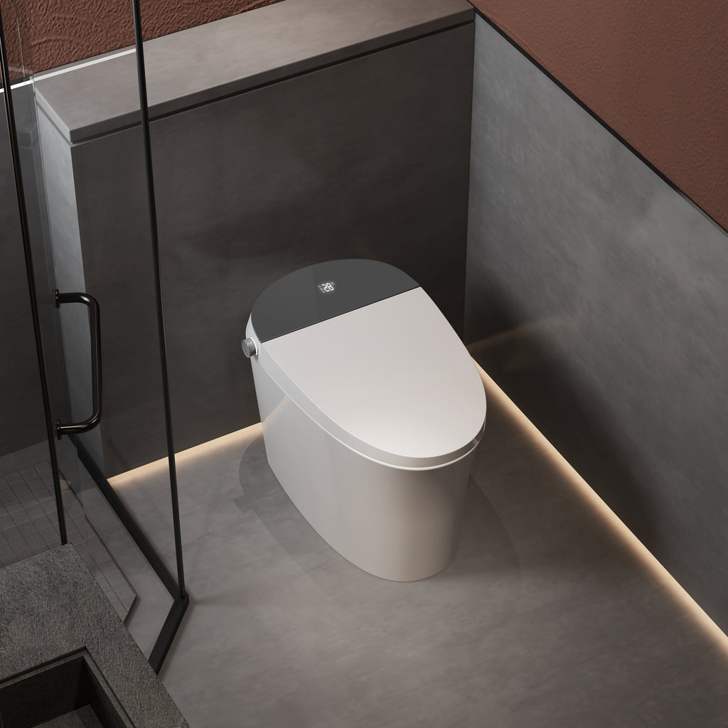 Aquaflo Maritime Smart Toilet