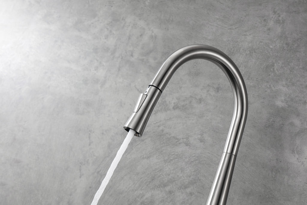 Aquaflo Echo Pull-Down Kitchen Faucet