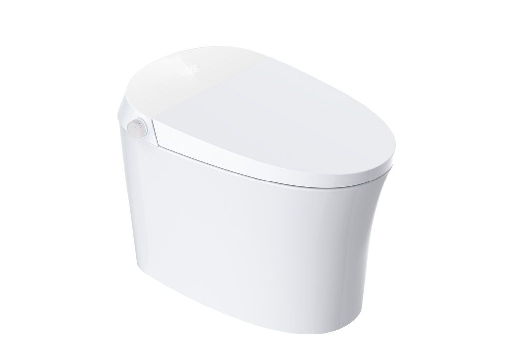 Aquaflo Maritime Smart Toilet