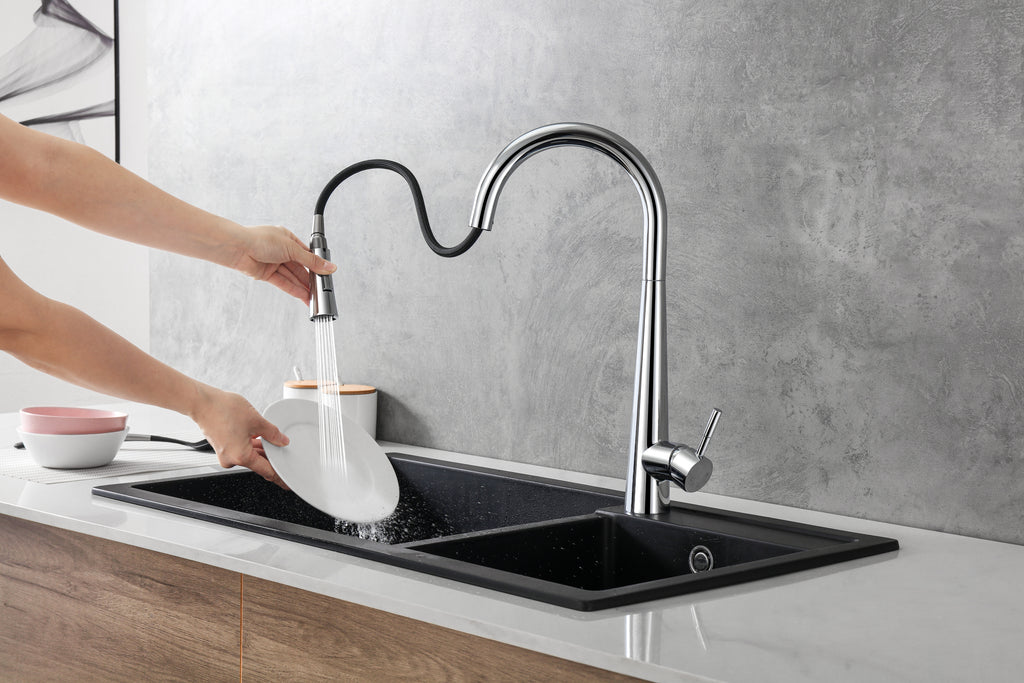 Aquaflo Echo Pull-Down Kitchen Faucet
